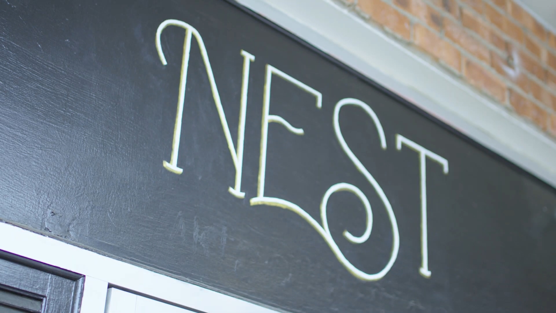 The Nest - Documentary